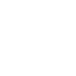 SUSPENSION
